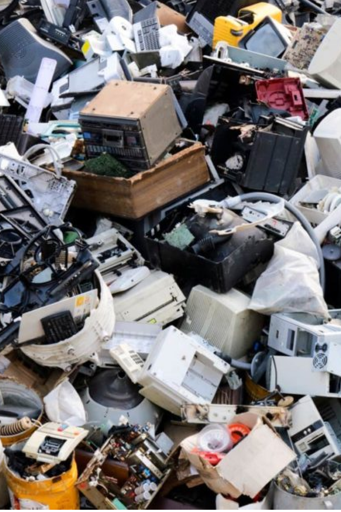 10 Surprising Facts About Plastic Waste