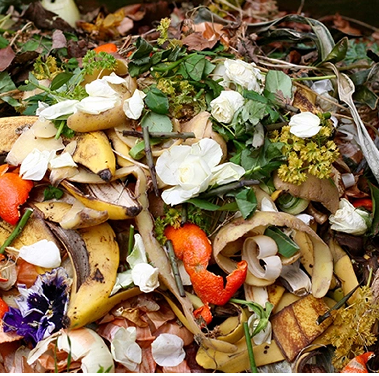 10 Surprising Facts About Plastic Waste